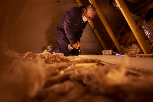 Best Commercial Insulation in Collinsville, VA